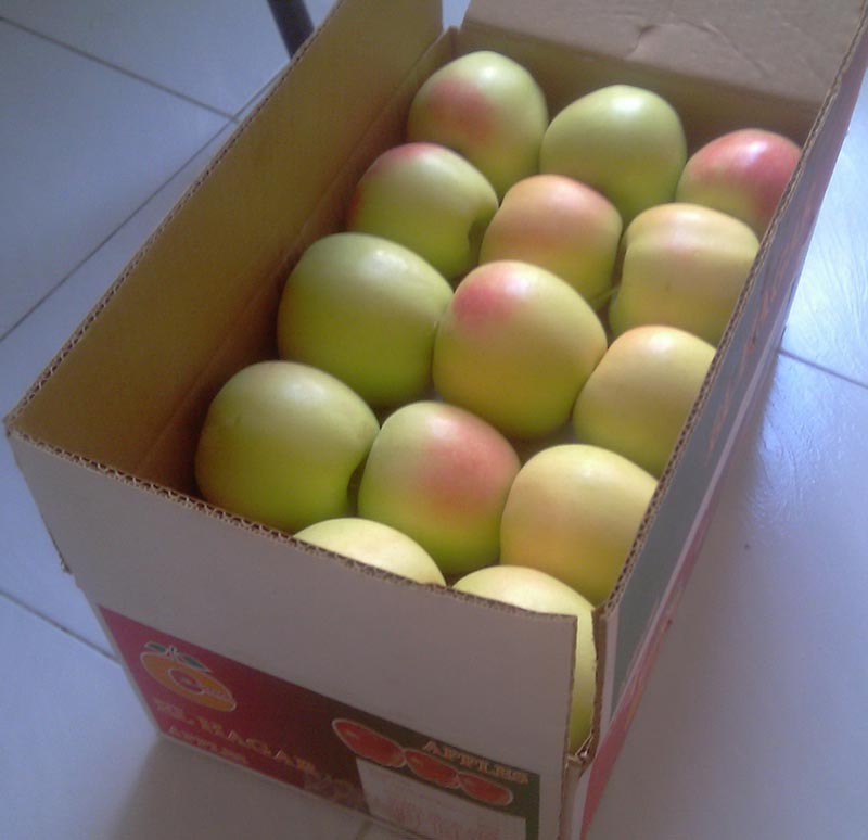 کارتن صادراتی سیب