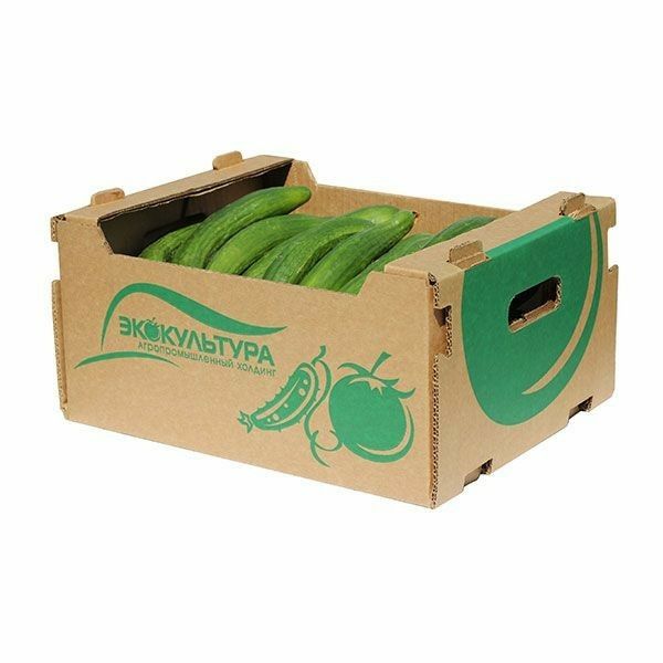 تیراژ تولید کارتن خیار