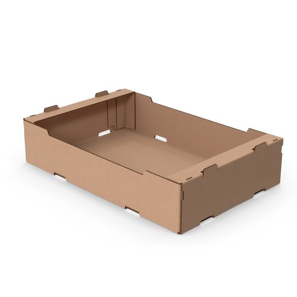 تولید خرید فروش کارتن خیار